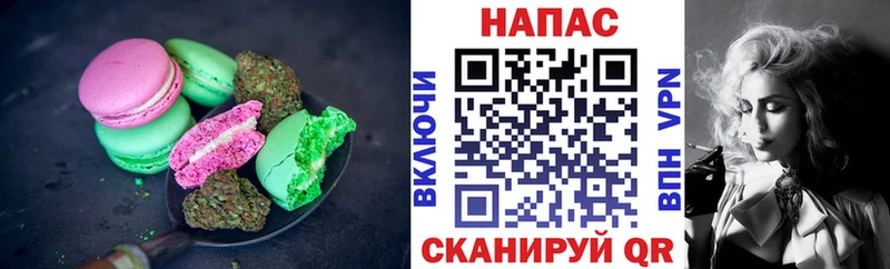 Canna-Cookies марихуана  Купить  Плёс 