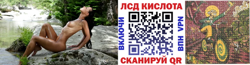 Купить где  Плёс  Марки 25I-NBOMe 1,5мг 