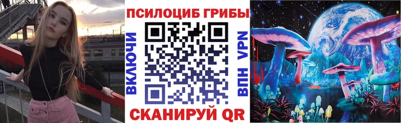 Псилоцибиновые грибы Psilocybe Плёс